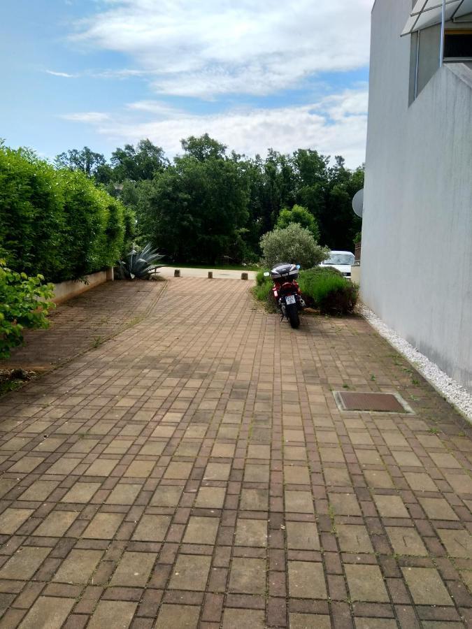 Medo Apartment Novigrad  Ngoại thất bức ảnh