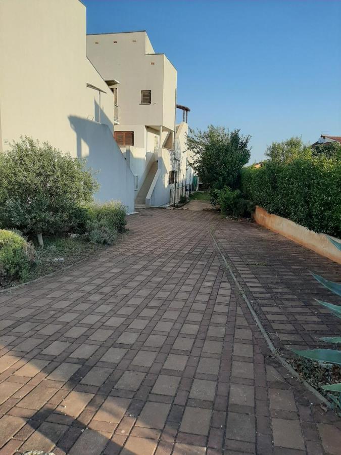Medo Apartment Novigrad  Ngoại thất bức ảnh